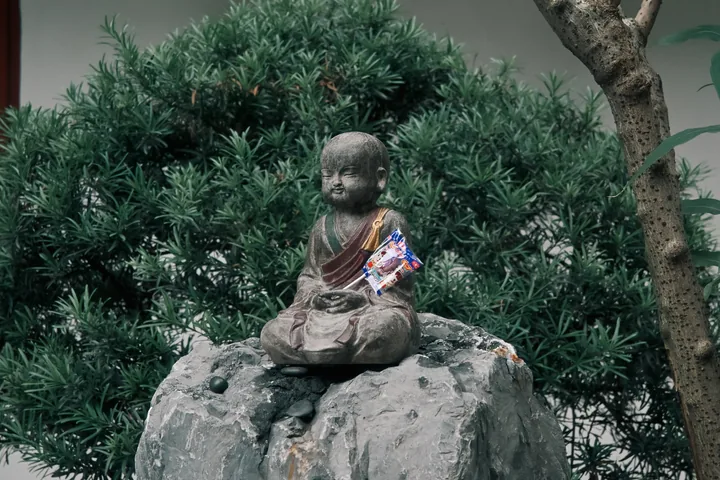 绿叶围着石头上的小造像。